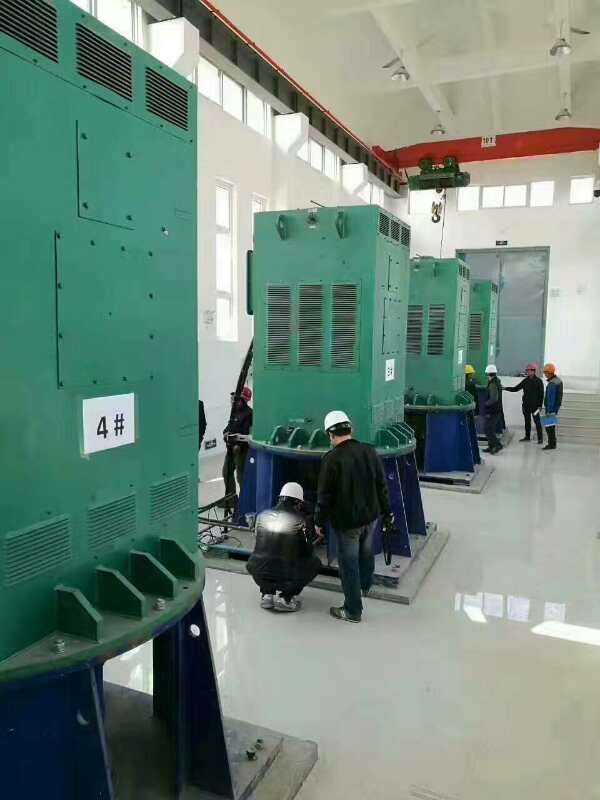 汪清某污水处理厂使用我厂的立式高压电机安装现场